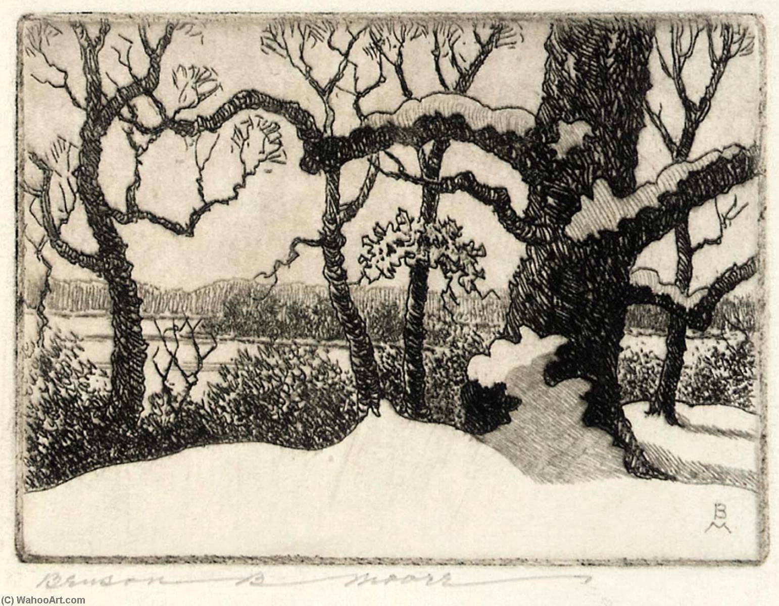 Winter, National Arboretum — Benson B Moore