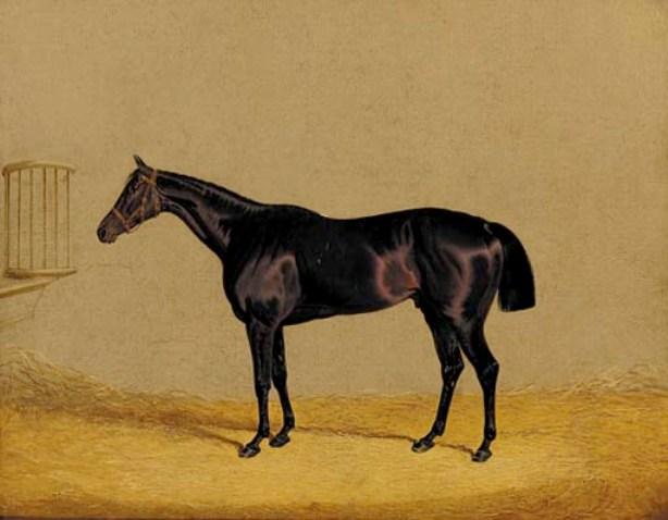 Mulatto, A Dark Brown Racehorse In A Stable — John Frederick Herring Senior