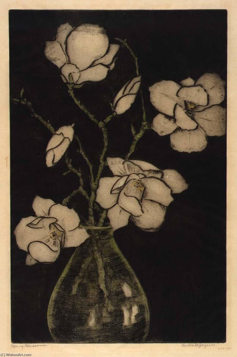 Spring Blossoms (tree Magnolia) — Bertha Evelyn Jaques