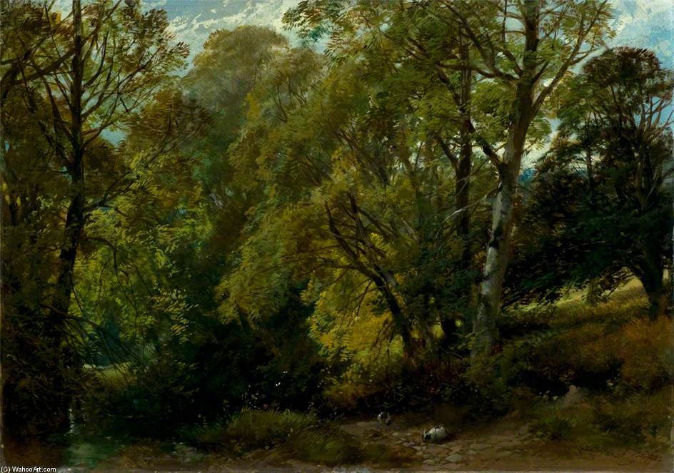 A Shady Nook — James Duffield Harding