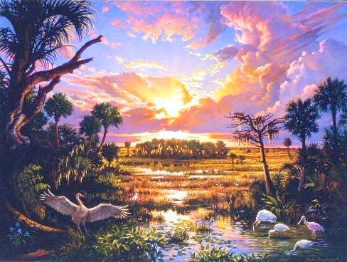 Everglades Painting — Ian John Hornak