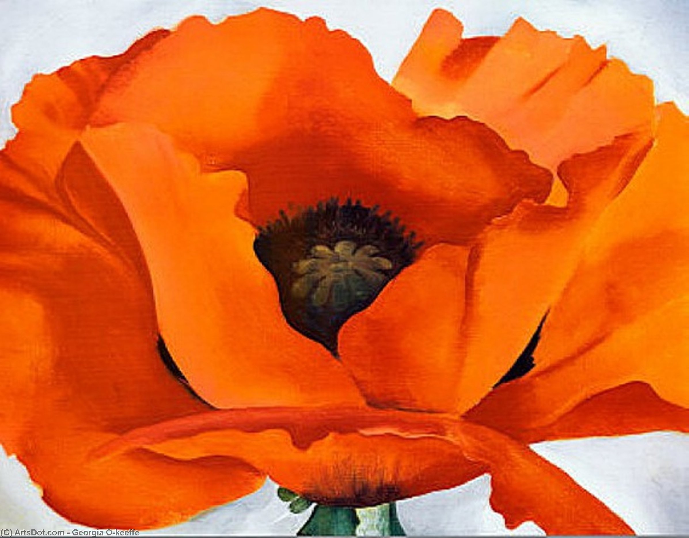 Red Poppy — Georgia O'keeffe