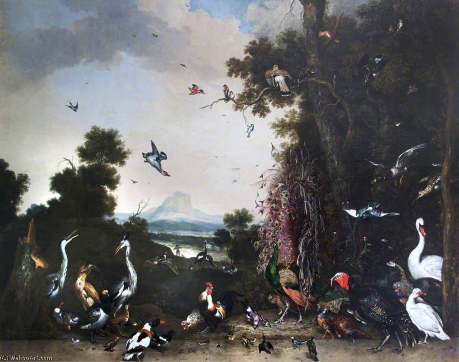 Open Landscape With Poultry And Waterfowl — Melchior De Hondecoetter