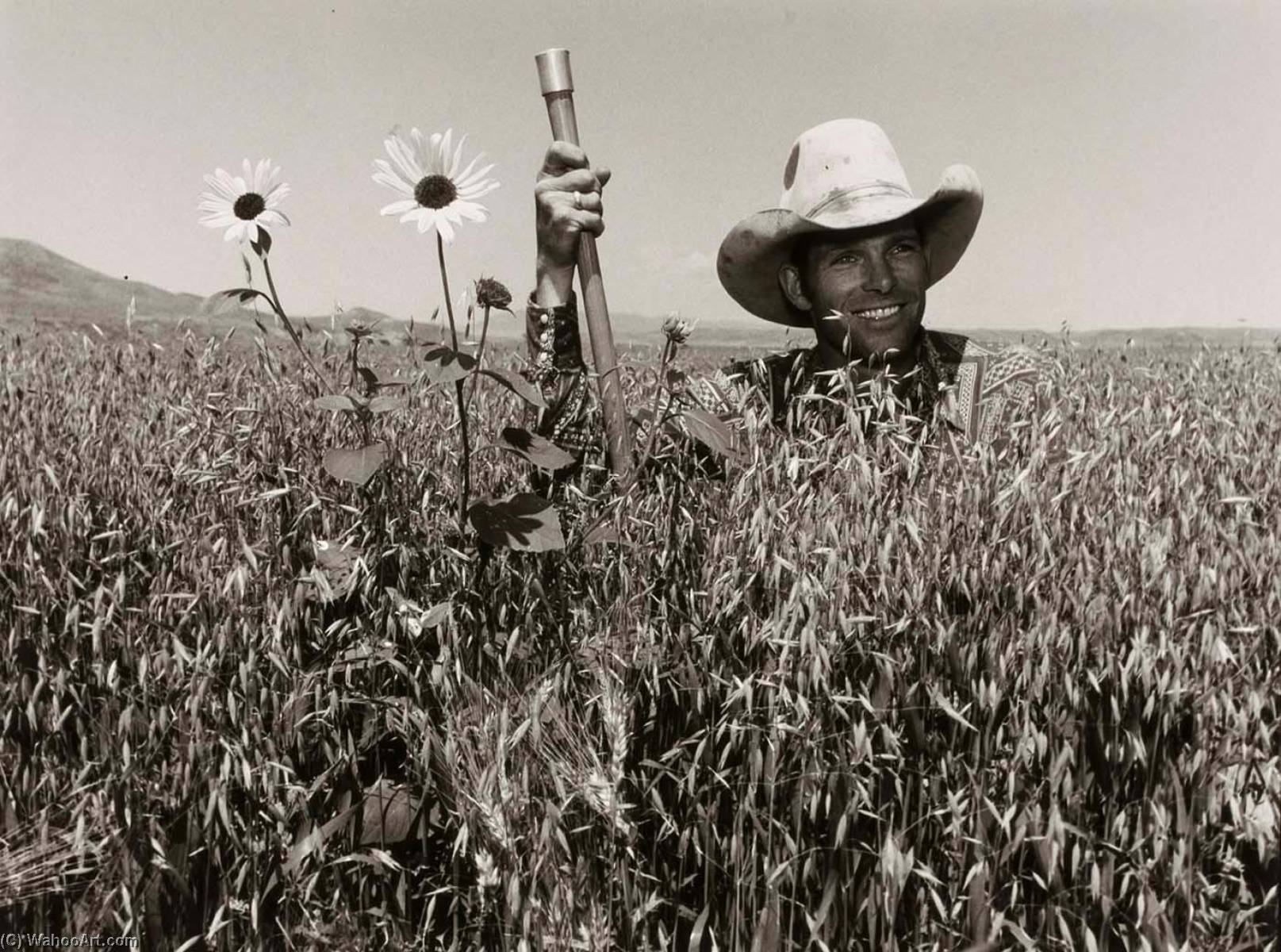 Rodeo Cowboy, Sheep Rancher, Recording Star, From The Wyoming Documentary Survey Project — Penny Diane Wolin