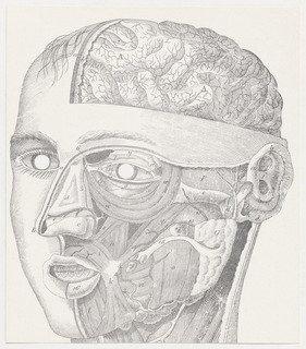 Face Anatomy Mask — George Maciunas