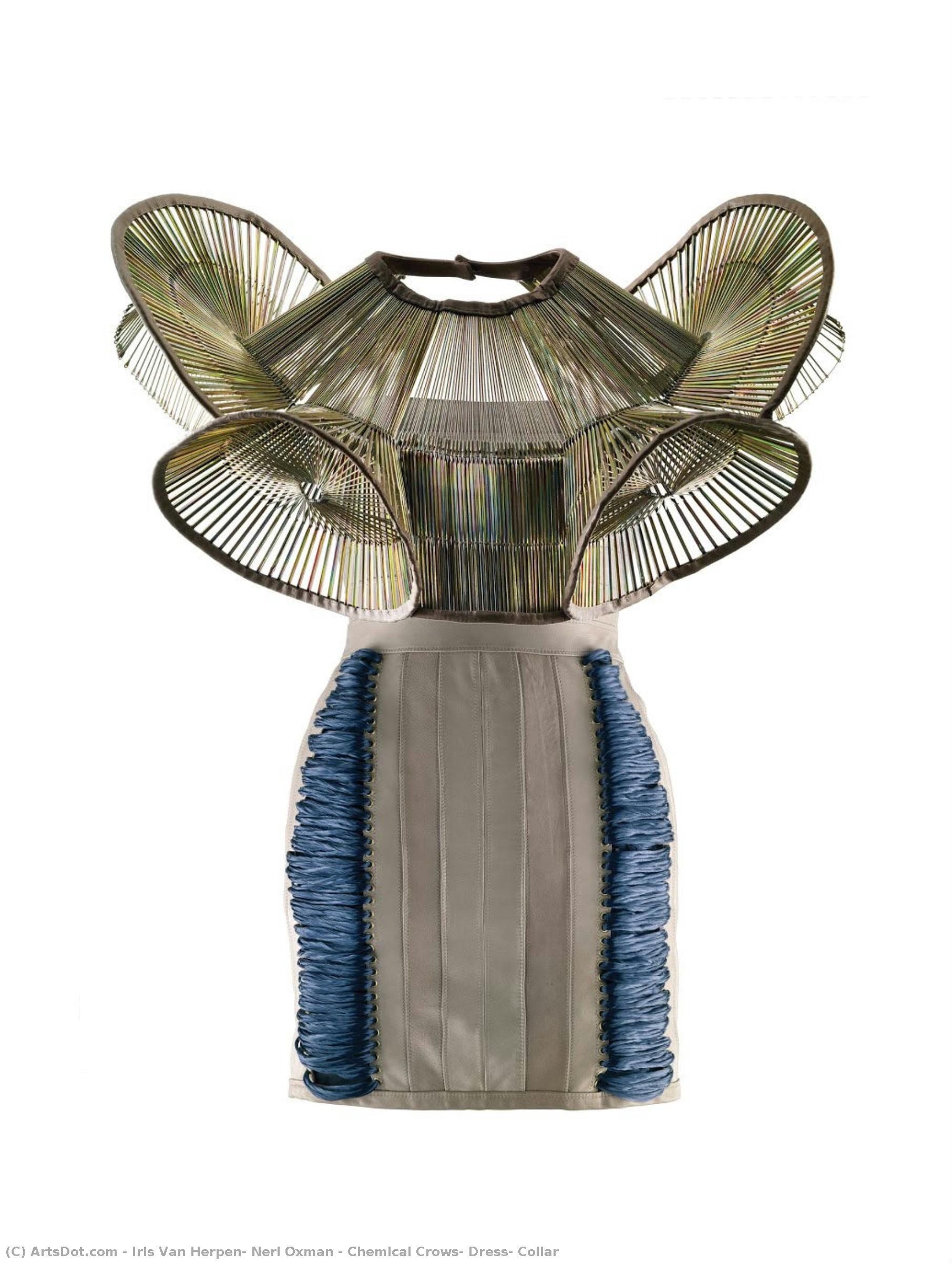 Chemical Crows, Dress, Collar — Iris Van Herpen, Neri Oxman