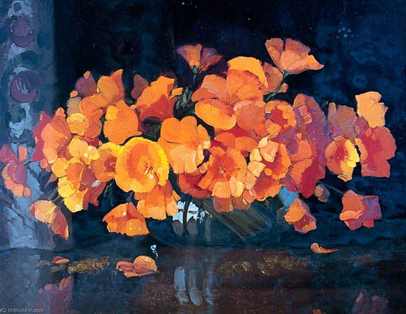 Eschscholtzia, Flower Study — Herbert Davis Richter