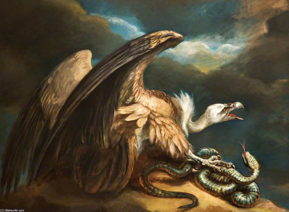 Vulture And Snake — James Northcote