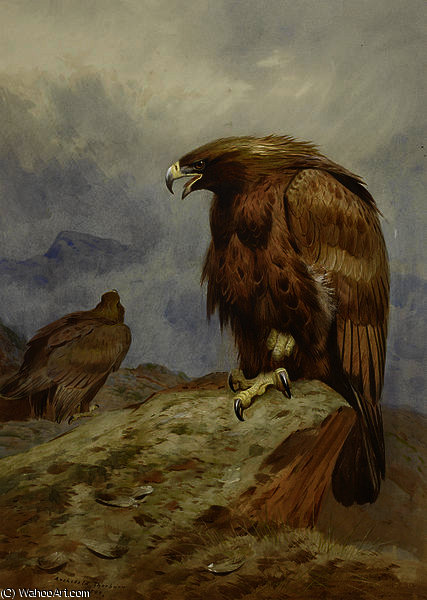 Pair Of Golden Eagles — アーチボルド・ソーバーン