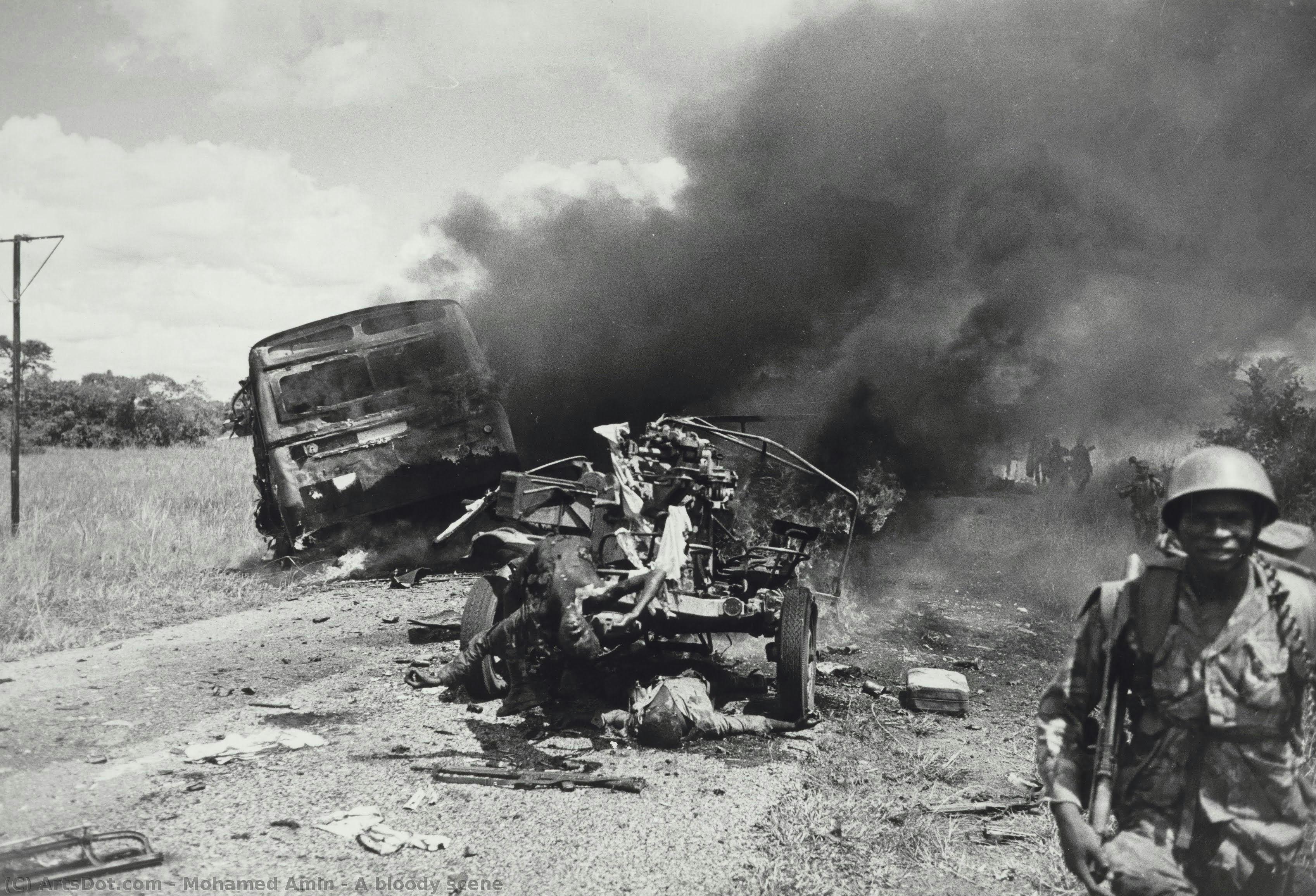 A Bloody Scene — Mohamed Amin
