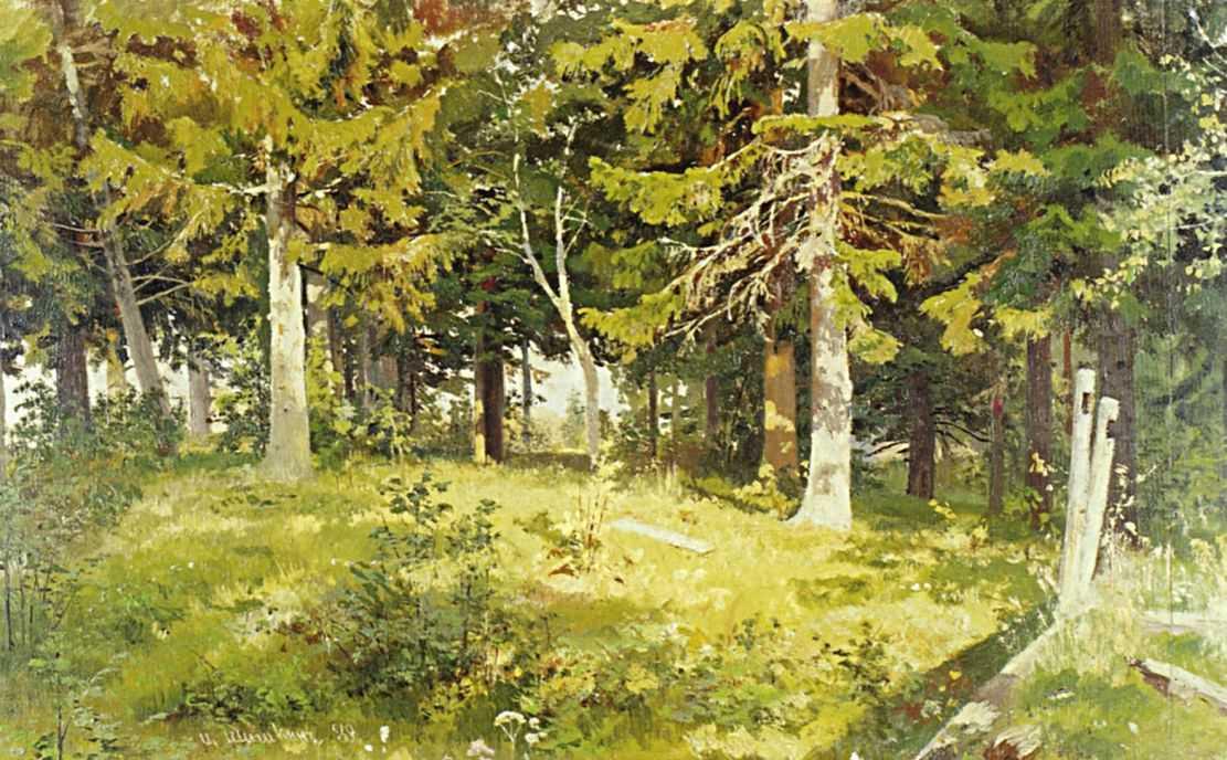 Glade In A Forest — Ivan Ivanovich Shishkin