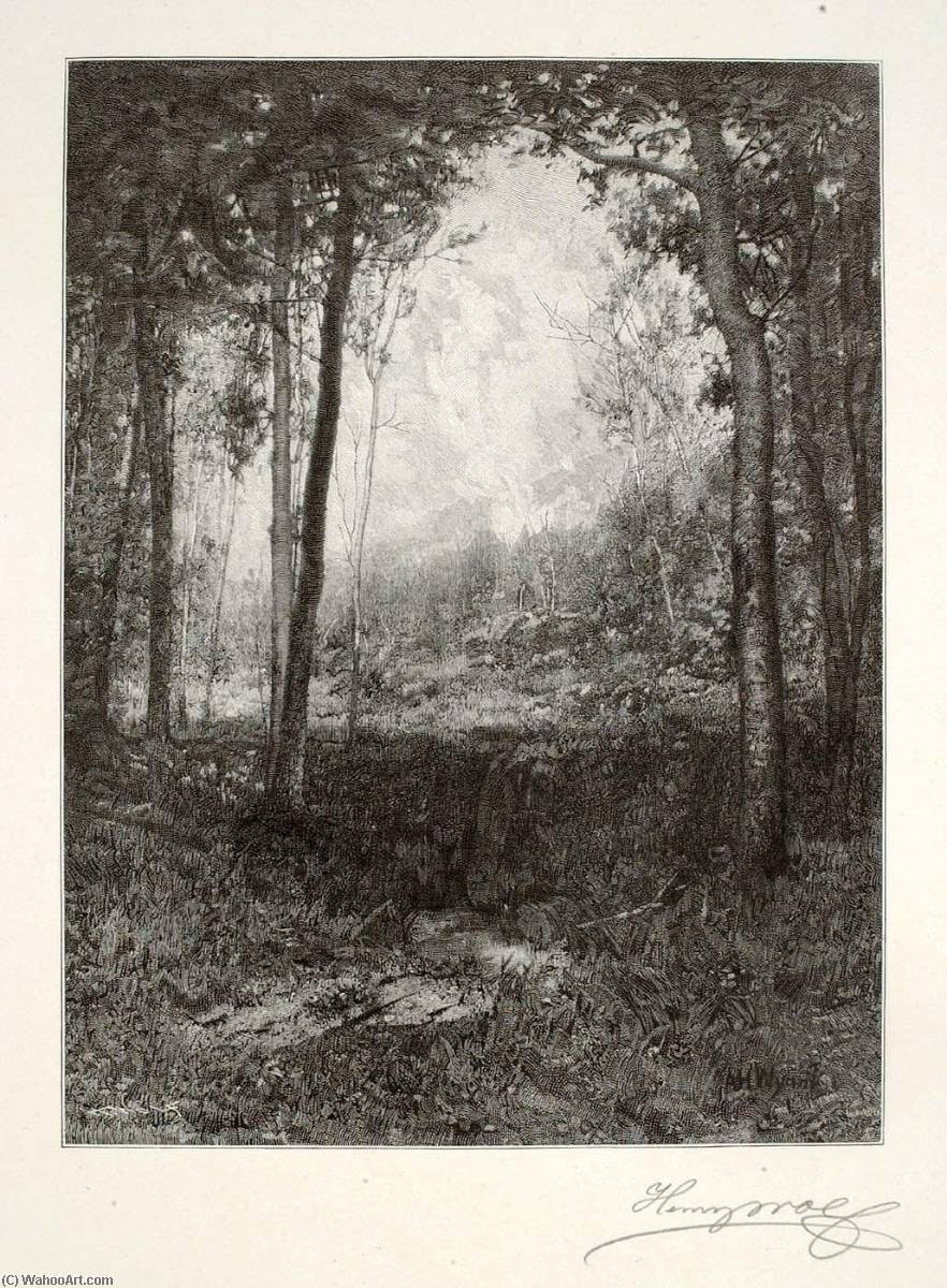 In The Adirondacks — Henry Wolf
