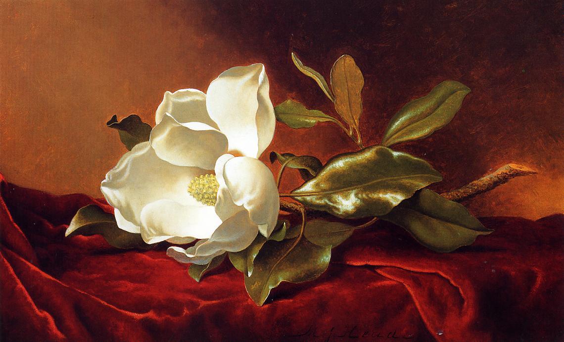 A Magnolia On Red Velvet — Martin Johnson Heade