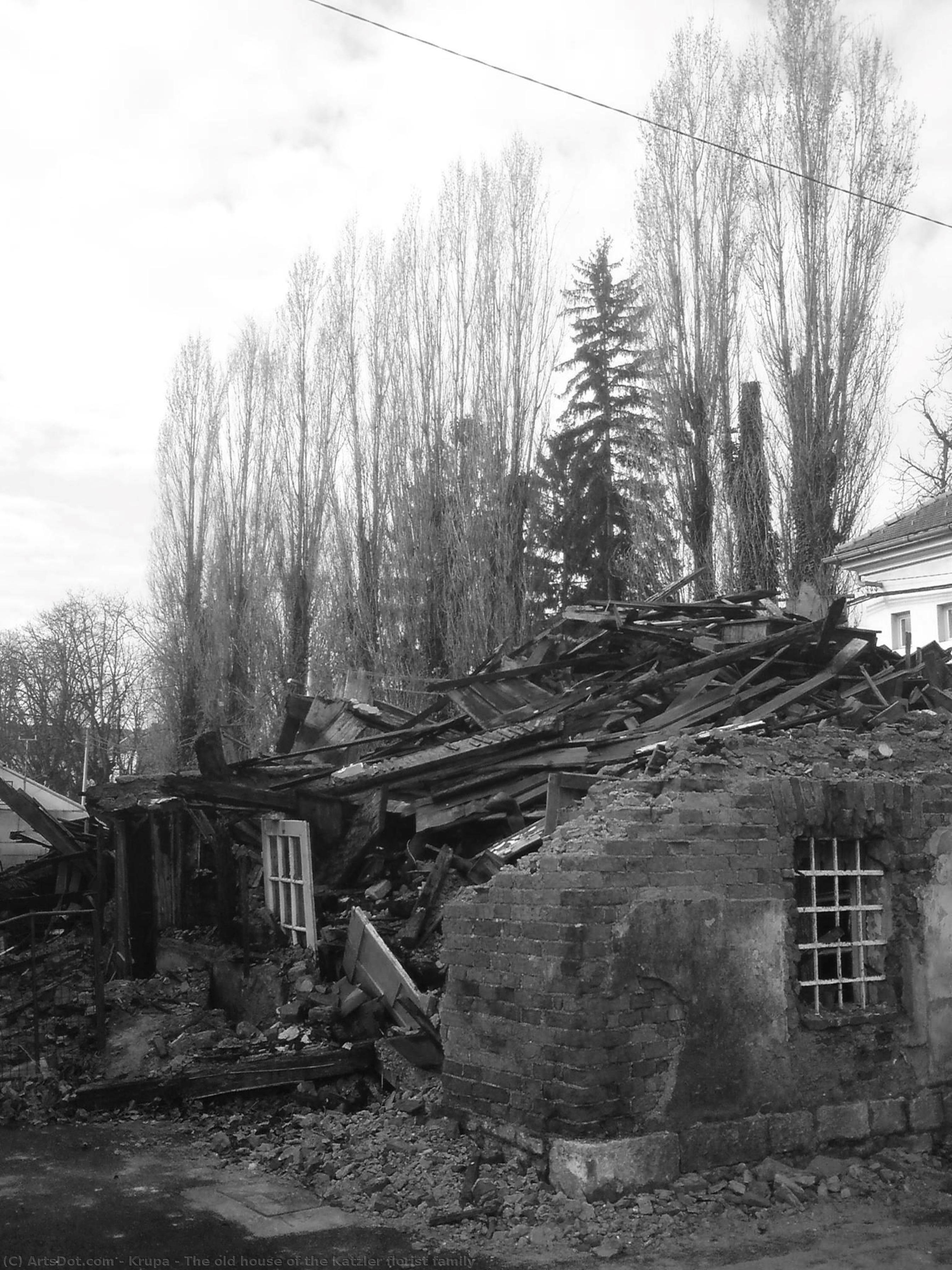 The Old House Of The Katzler Florist Family — Alfred Freddy Krupa