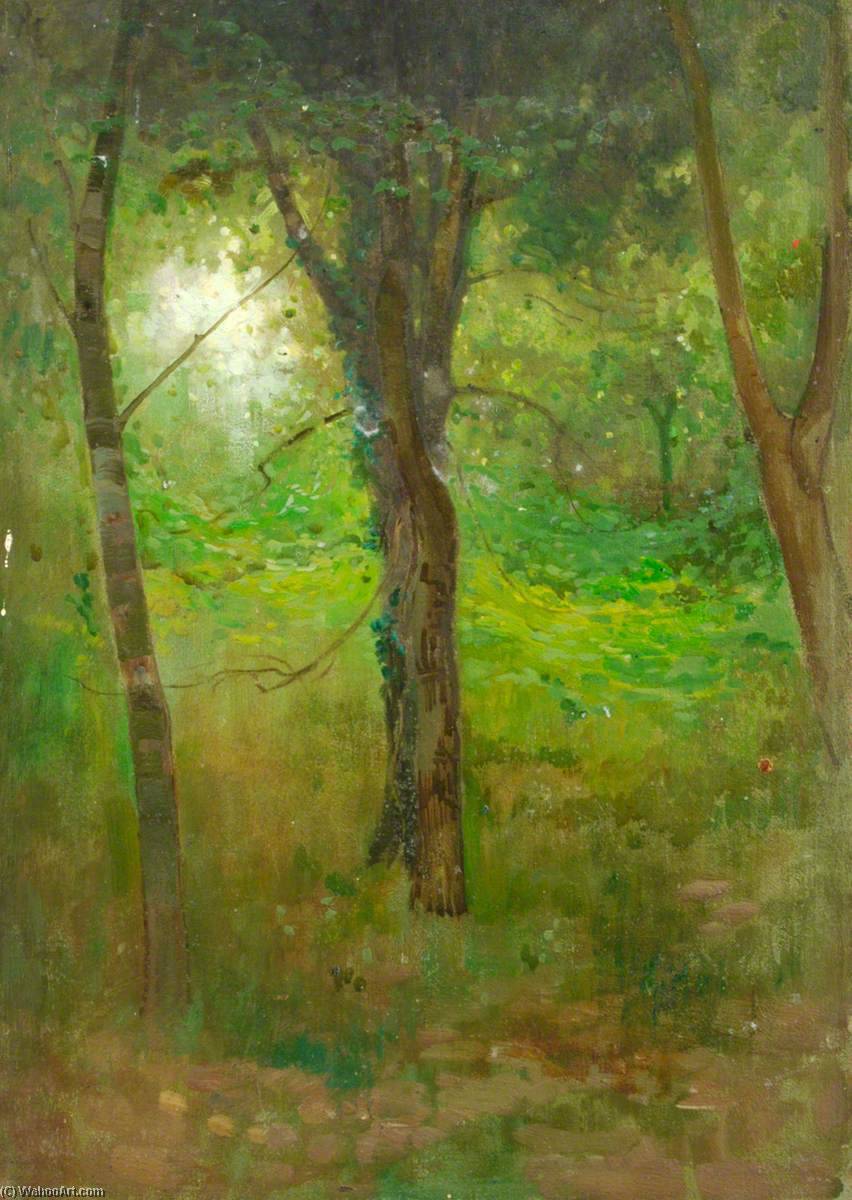 Trees And Undergrowth — Benjamin Hojton