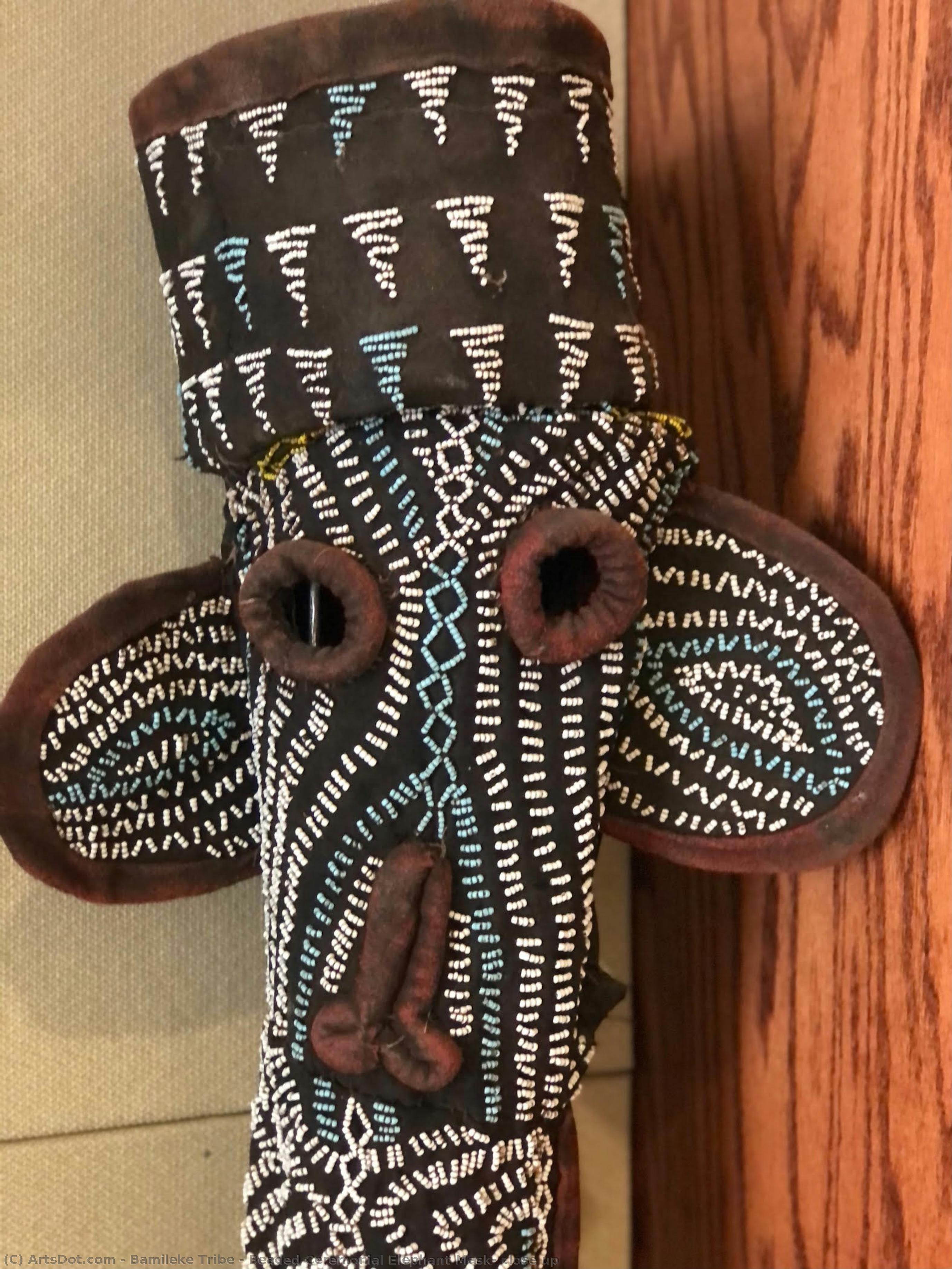 Beaded Ceremonial Elephant Mask, Close Up — Bamileke Tribe