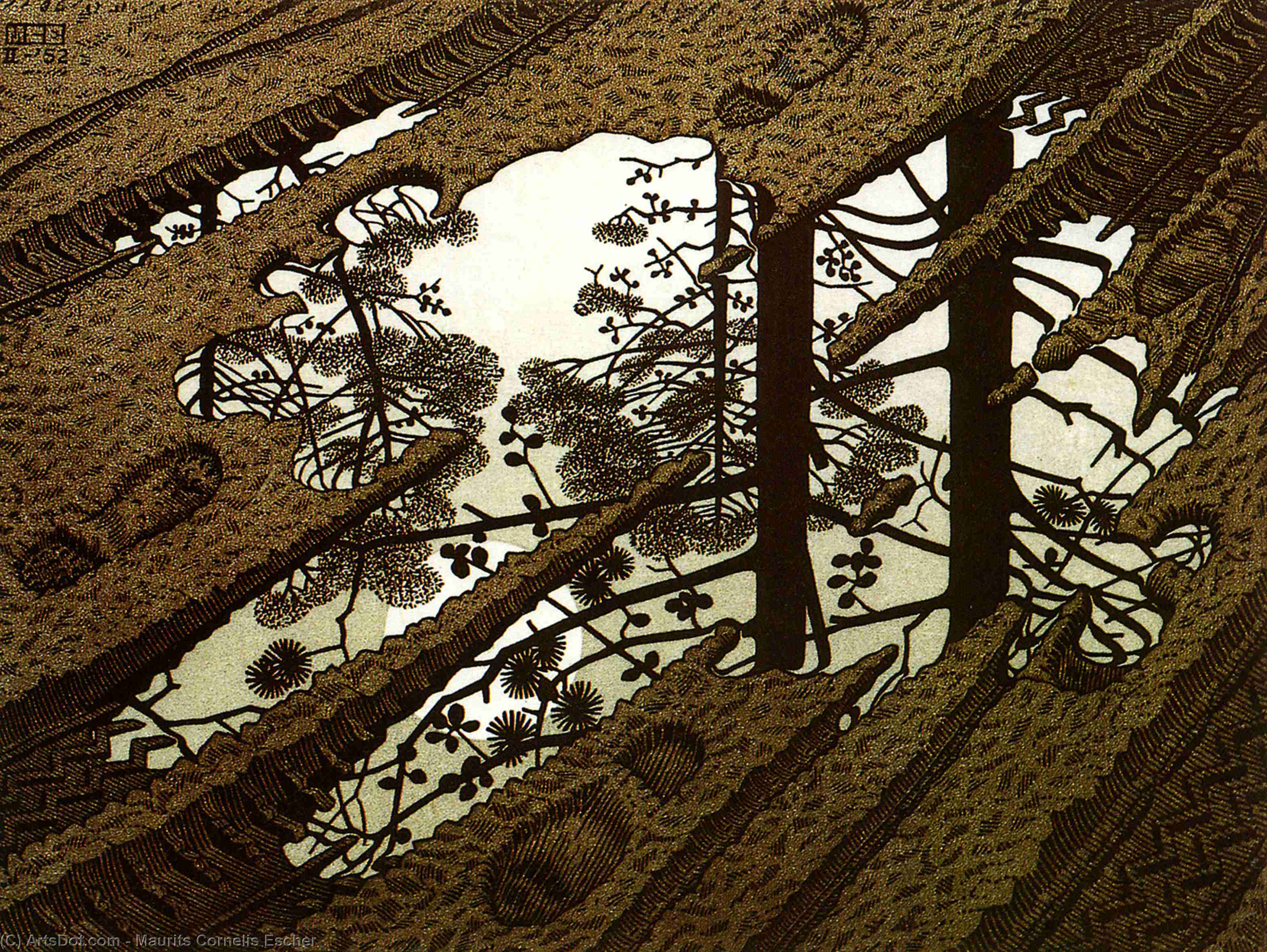 Puddle — Maurits Cornelis Escher