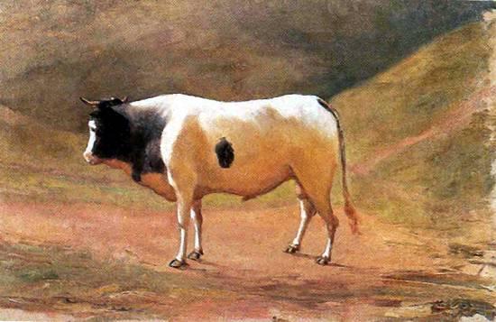 English Ox Grazing Português Boi No Pasto — Benedito Calixto