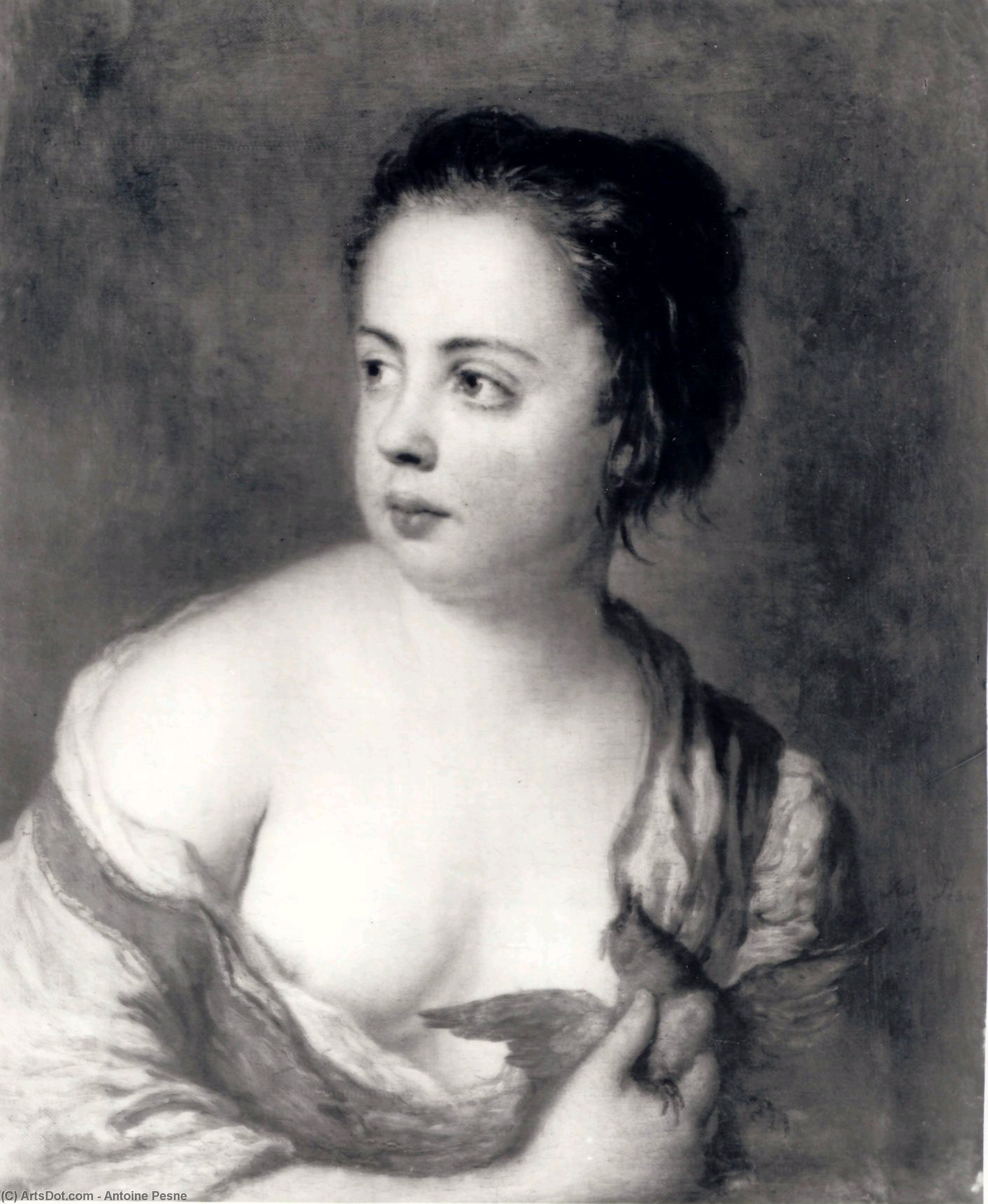 Girl With A Dove — Antoine Pesne