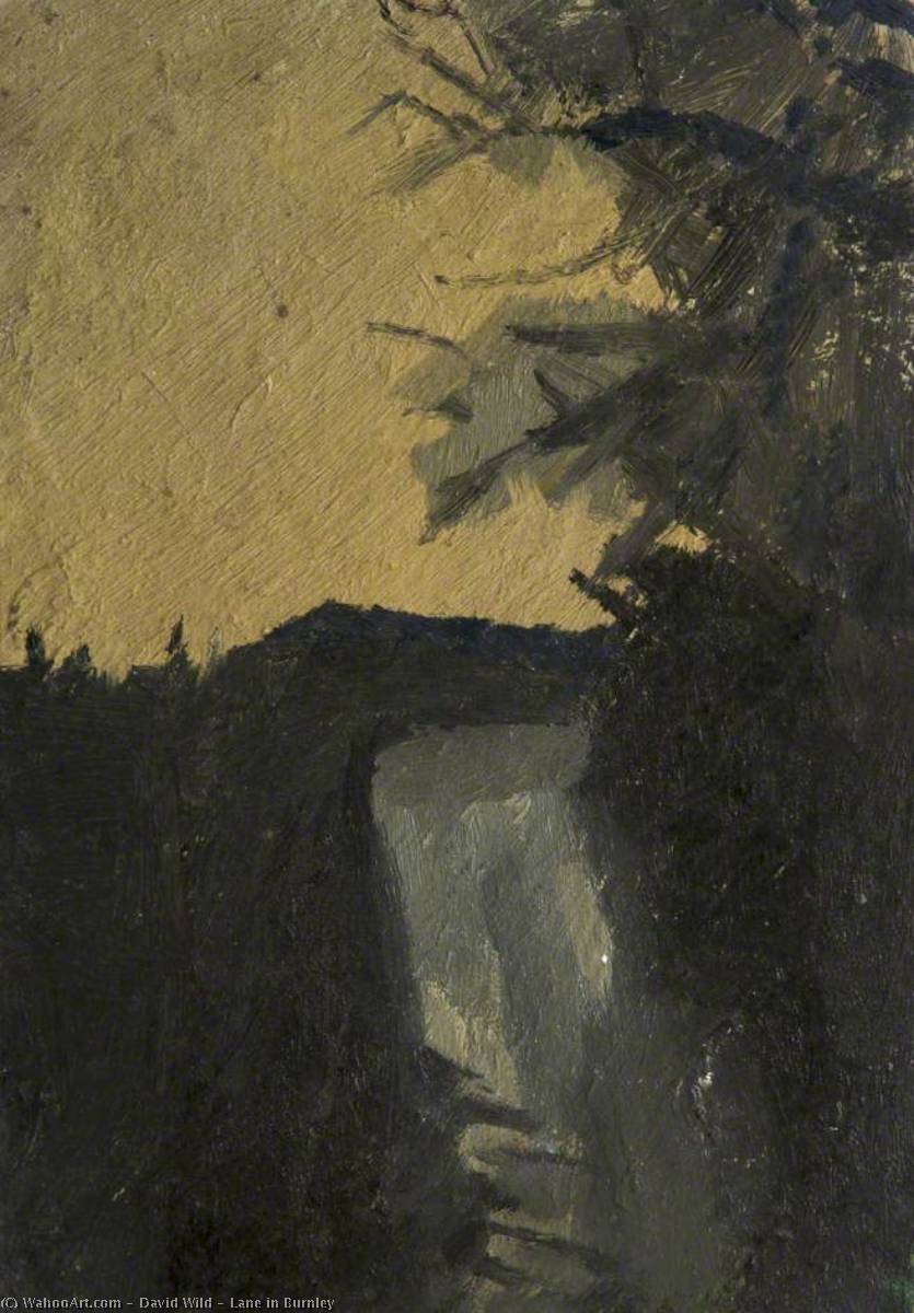 Lane In Burnley — David Wild
