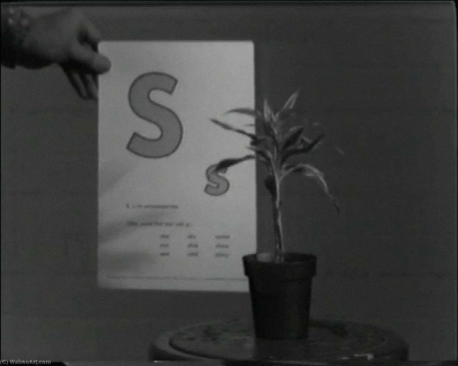 Teaching A Plant The Alphabet — John Baldessari