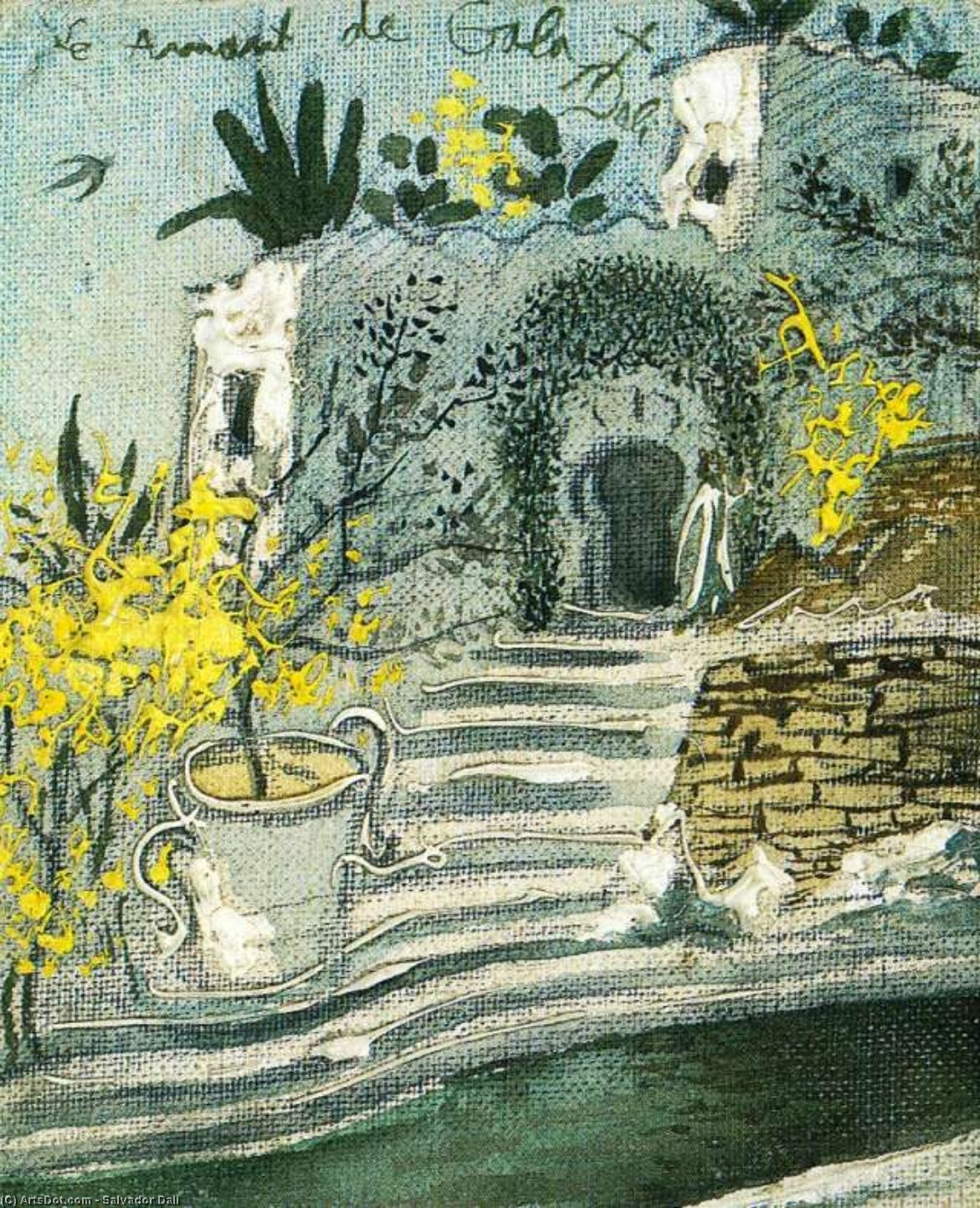 Der Swimming Pool In Port Lligat — Salvador Dalí