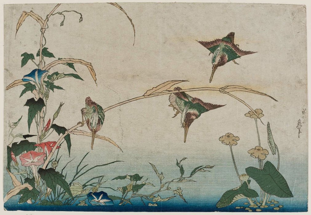 Kingfishers, Reeds, And Morning Glories — Katsushika Hokusai