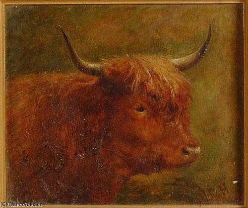 Head And Shoulders Portrait Of A Highland Cow — ルイ・ボズワース・ハート