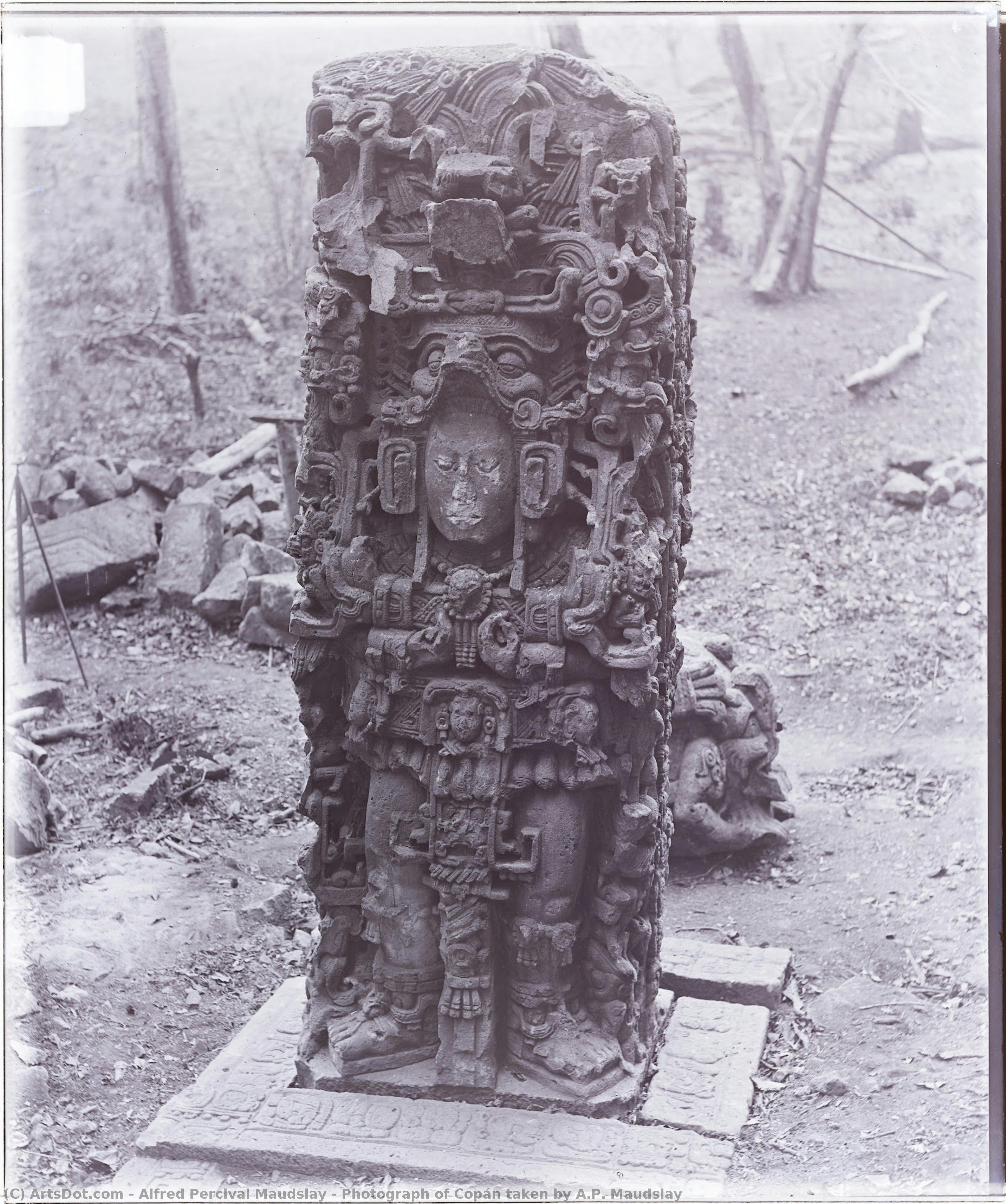 Photograph Of Copán Taken By A.p. Maudslay — Alfred Percival Maudslay