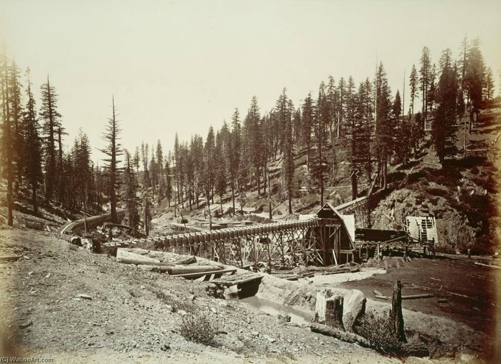 Untitled (aqtdlv) — Carleton Watkins