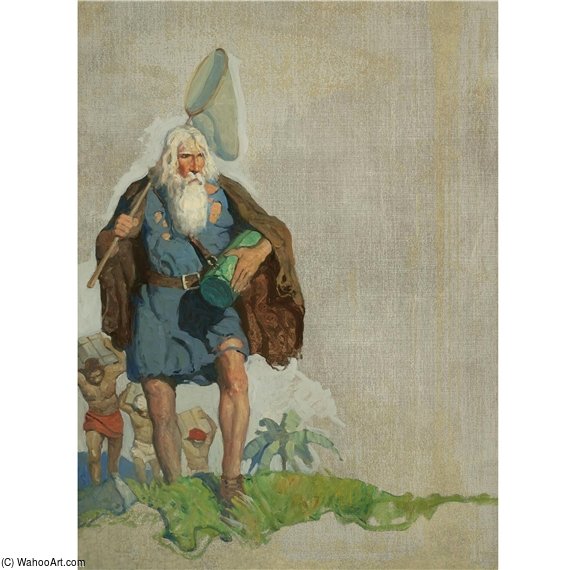 Tropical Island — N.c. Wyeth