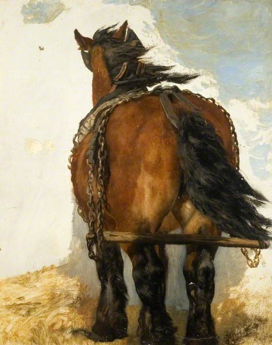 Shirehorse Hindquarters — Lucy Elizabeth Kemp Welch