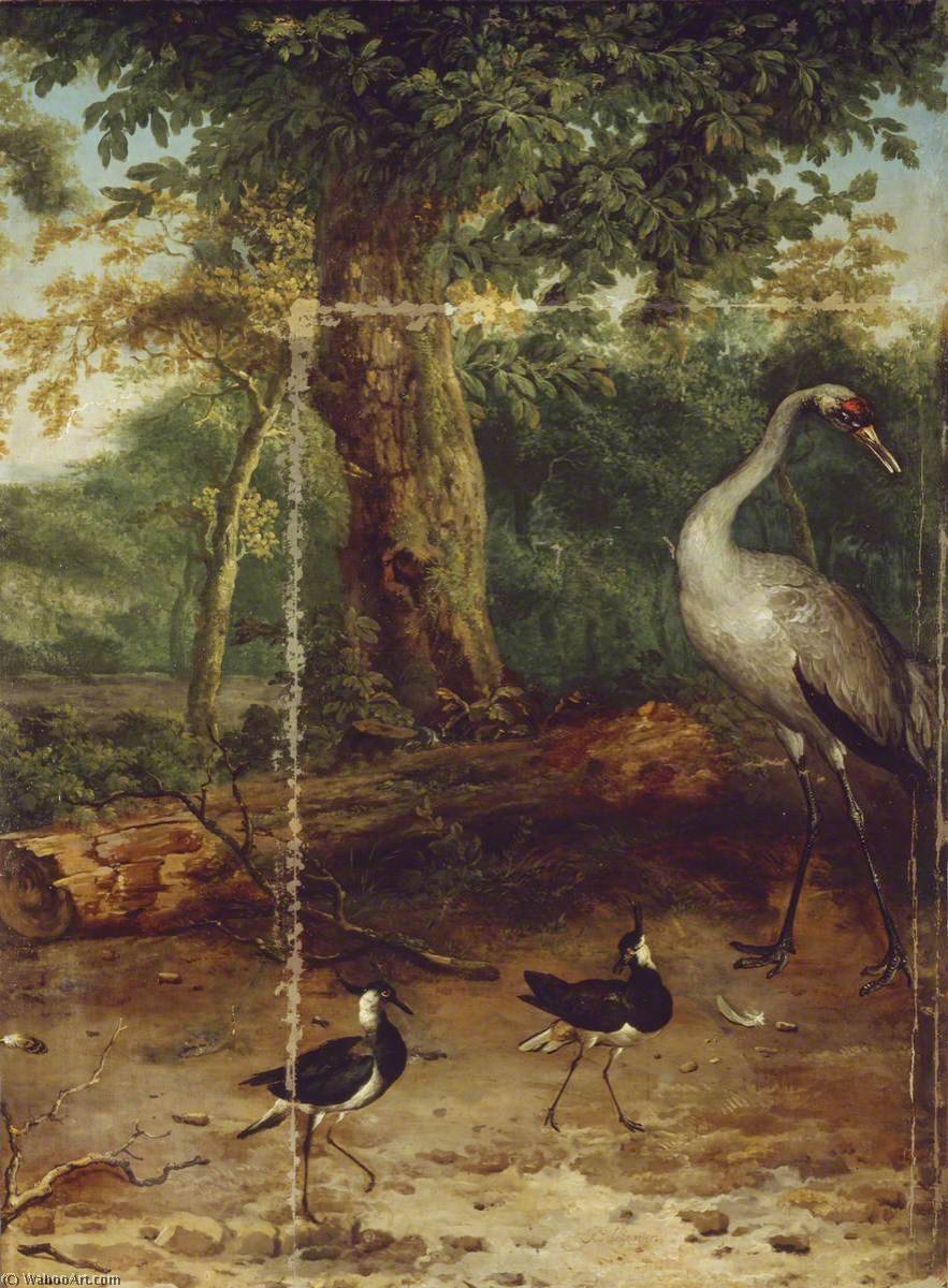 Birds In A Wood — Melchior De Hondecoetter