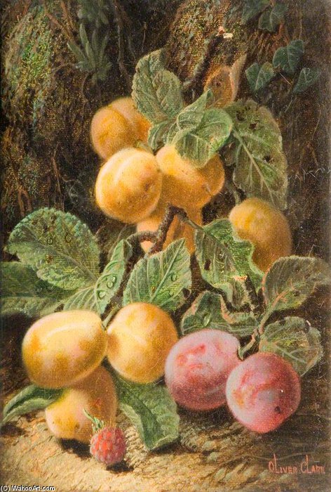 Still Life, Fruit — Oliver Clare