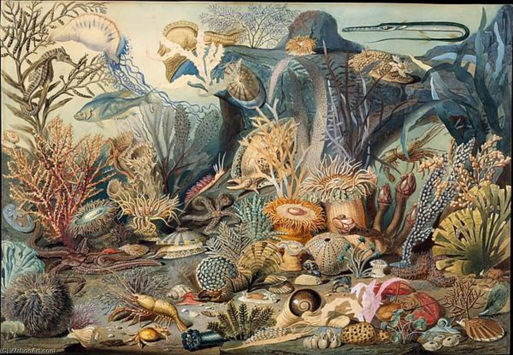 Ocean Life — Christian Schussele
