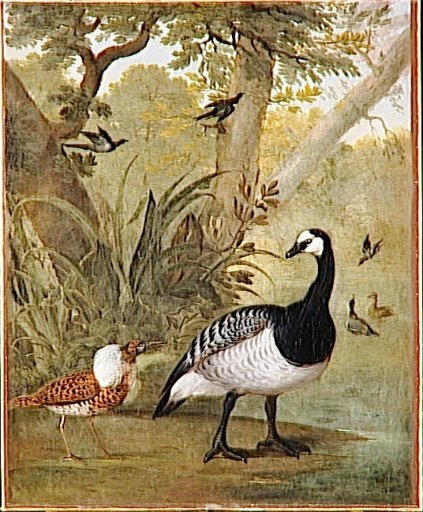 Oiseaux Et Faisans — Nicasius Bernaerts