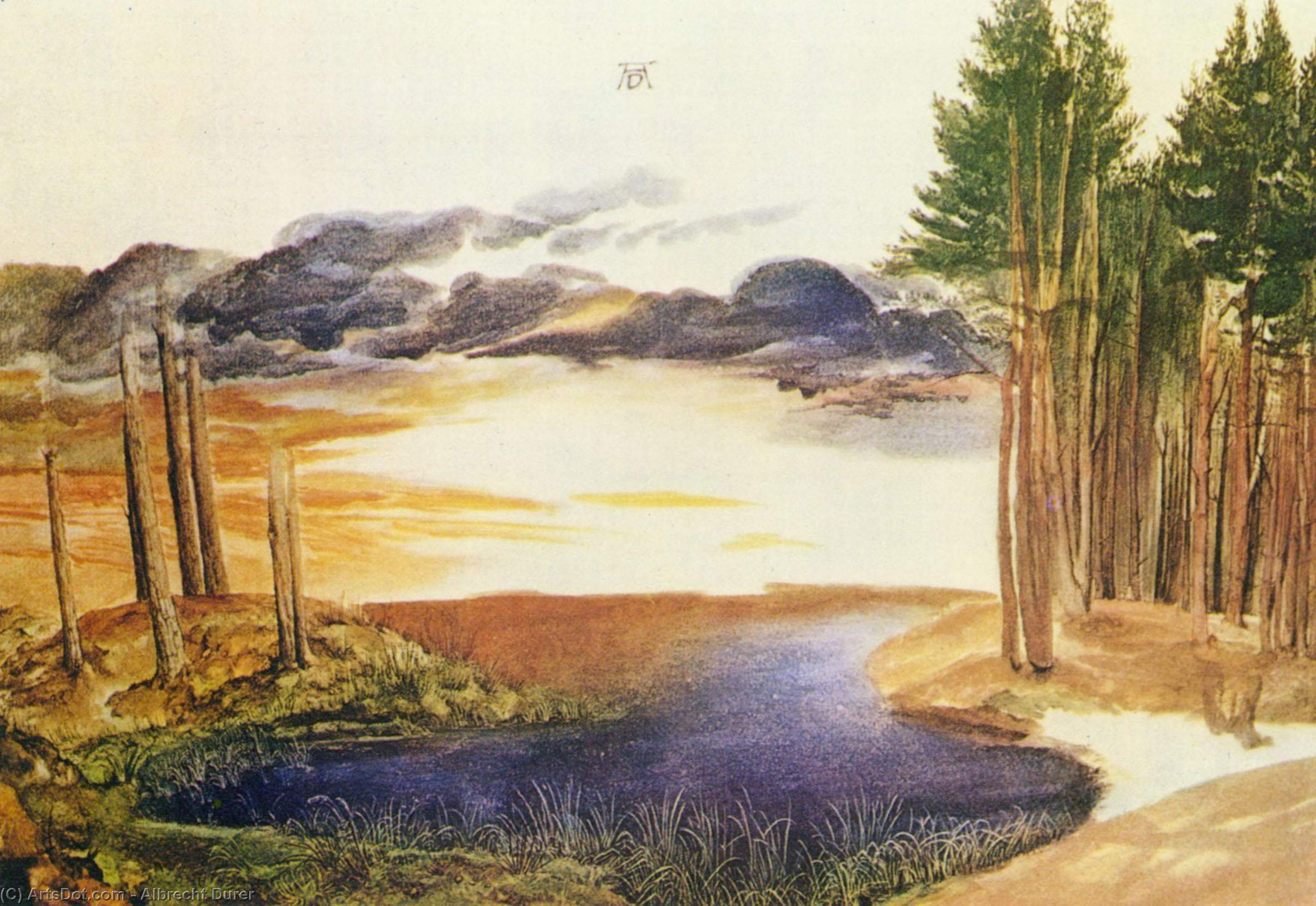 Pond In The Wood — Albrecht Dürer