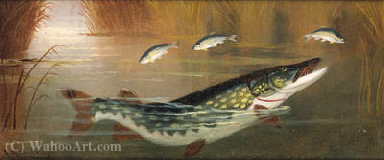 A Pike In Still Water; And Hooking A Salmon — A. Roland Knight