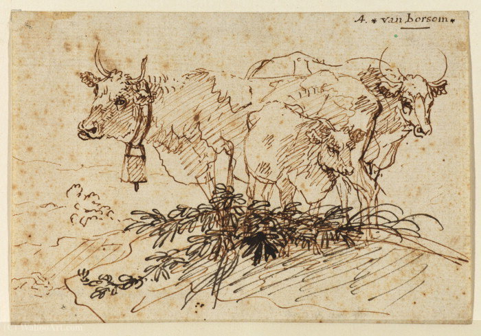 Study Of Group Of Cows — Anthonie Van Borssum