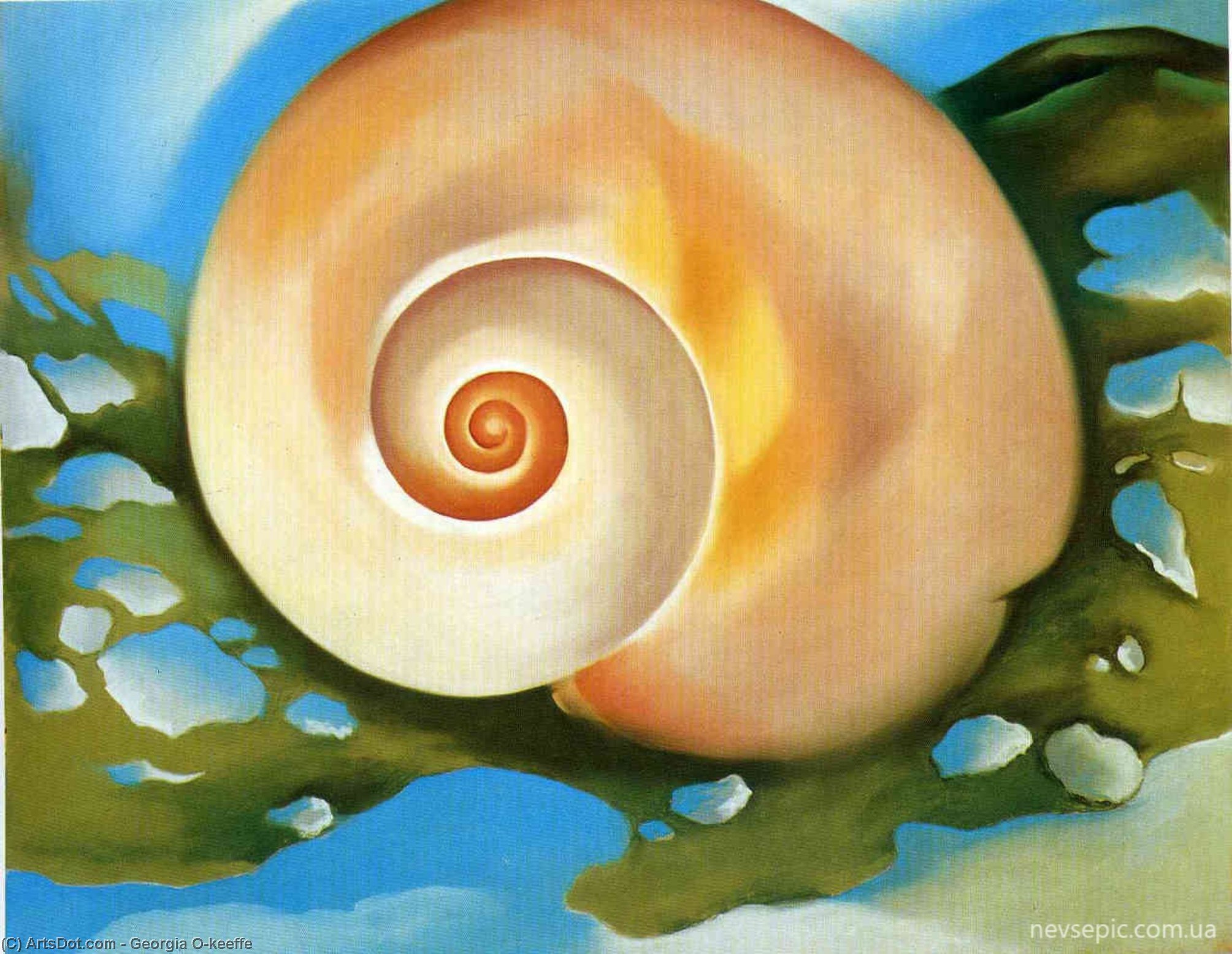 Pink Shell With Seaweed — Джорджия О’кифф