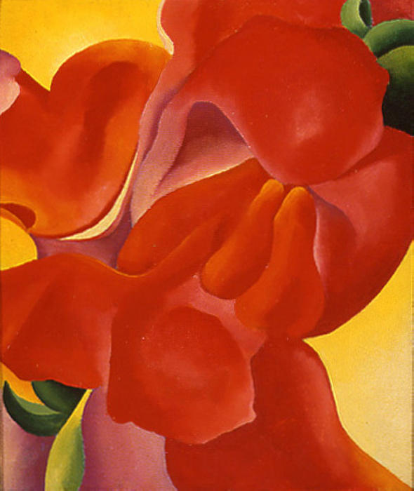 Red Canna — Јордана О’кеифе