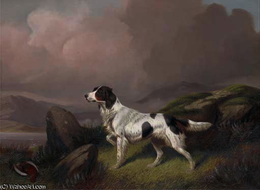 A Setter In A Moorland Landscape — Colin Graeme Roe
