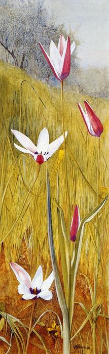 Flowers In A Landscape — Генри Родерик Ньюман