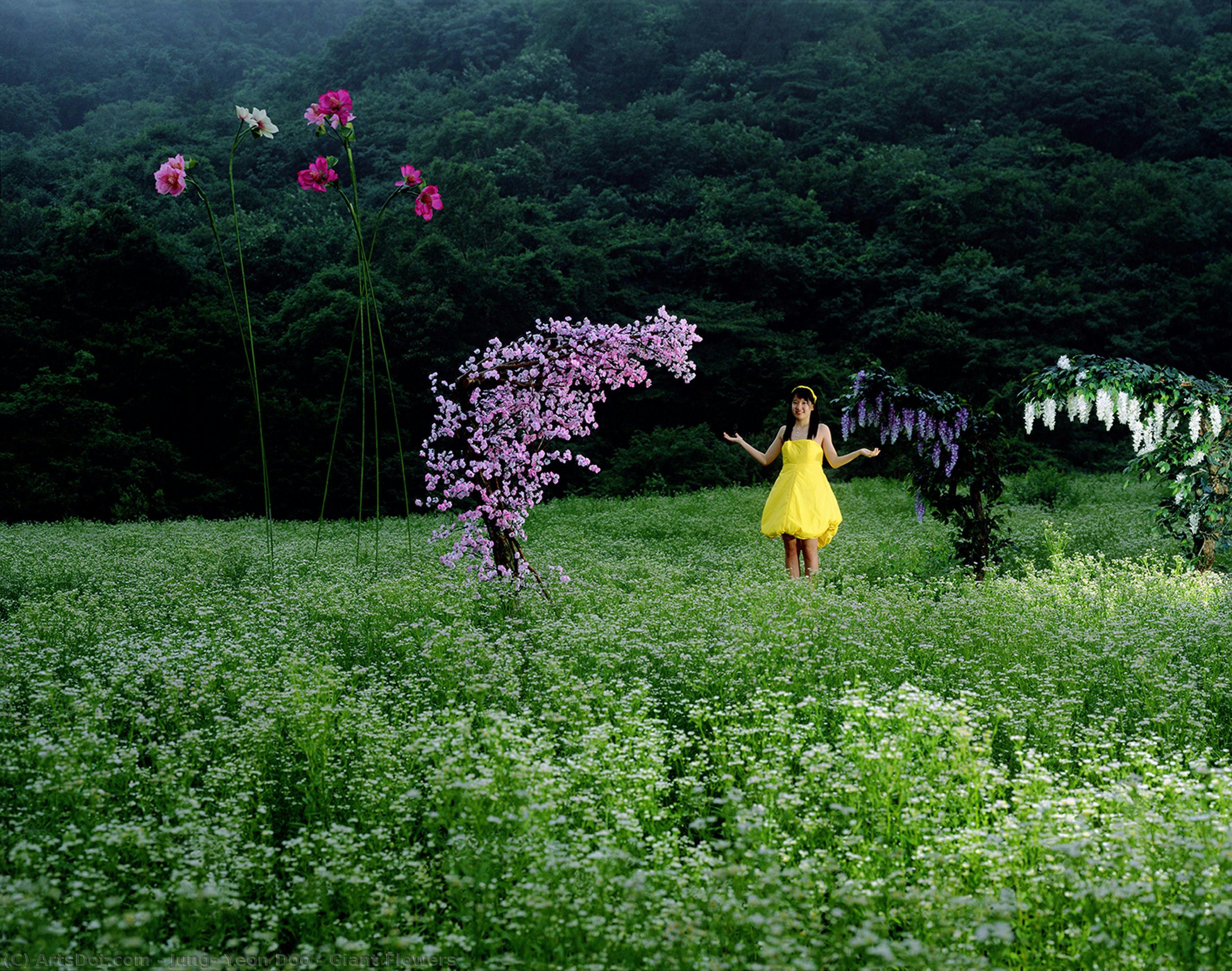 Giant Flowers — Džung, Jon Du