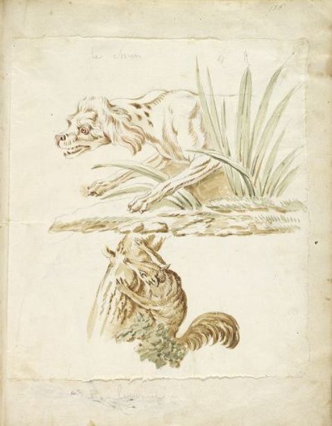 Dog And Squirrel — Jean-baptiste Oudry