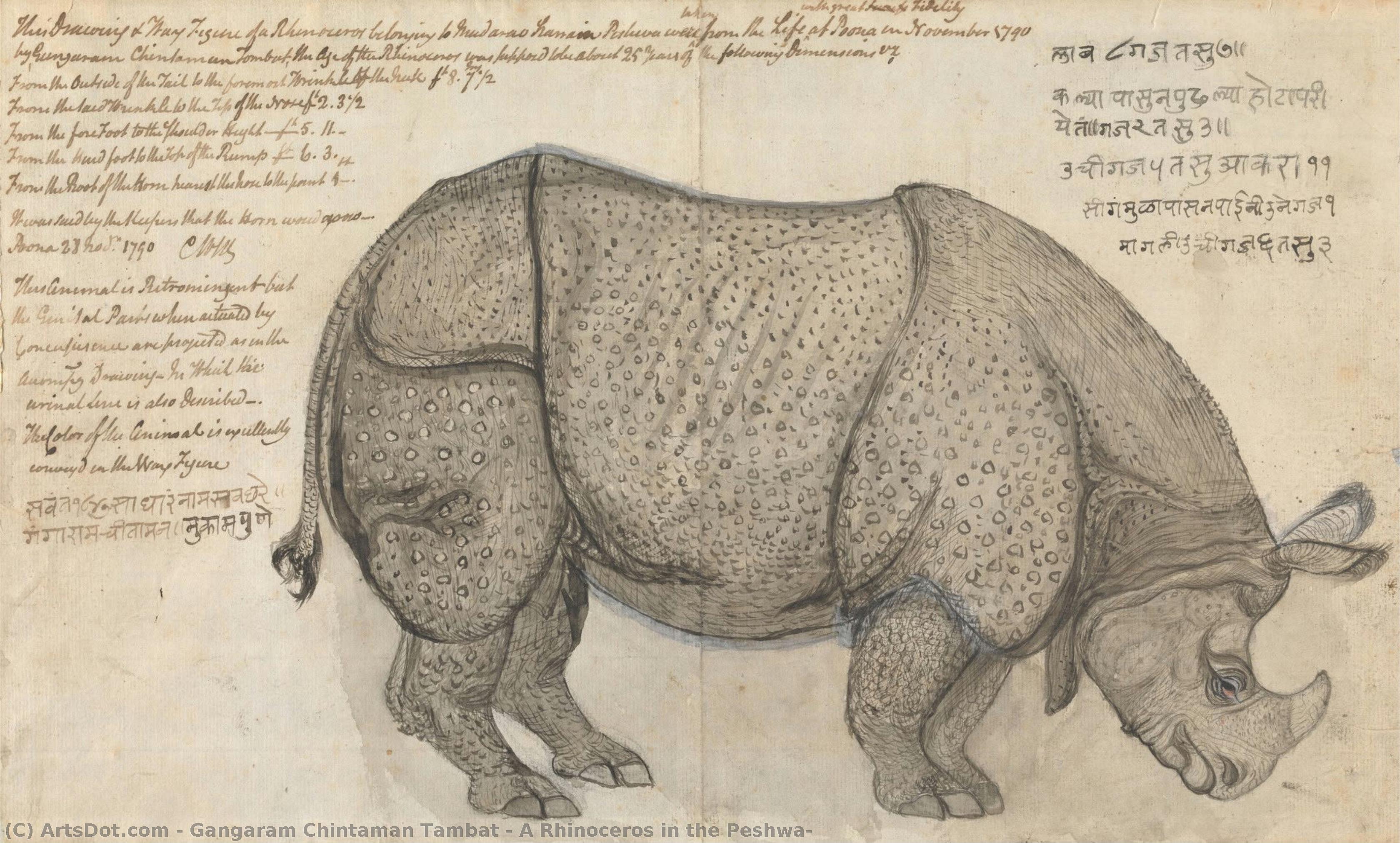 A Rhinoceros In The Peshwa — Gangaram Chintaman Tambat