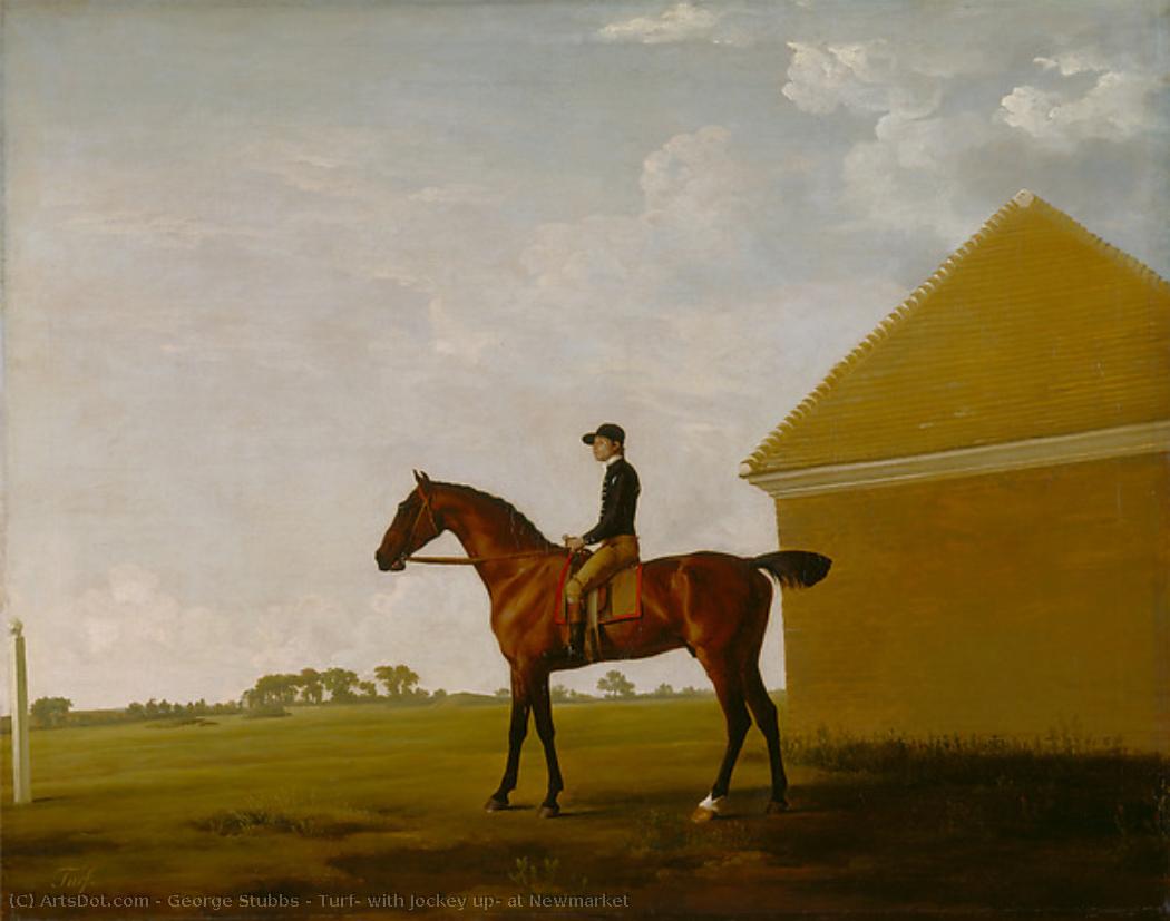 Turf, With Jockey Up, At Newmarket — George Stubbs