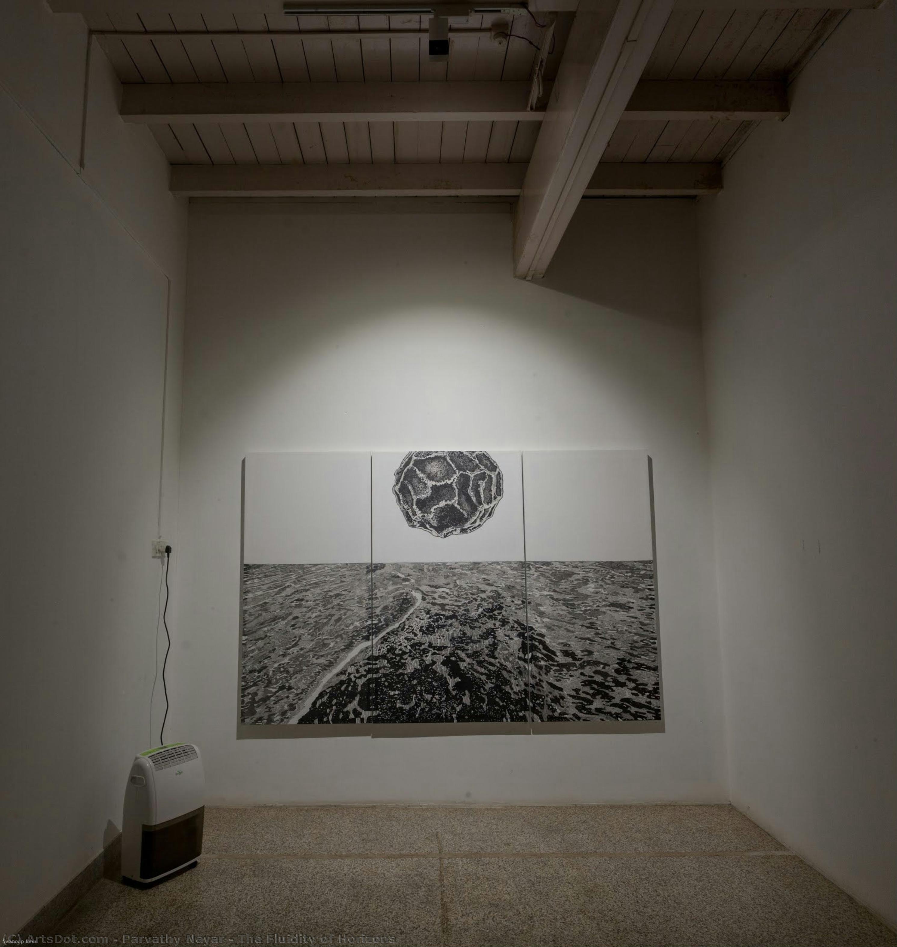 The Fluidity Of Horizons — Parvathy Nayar