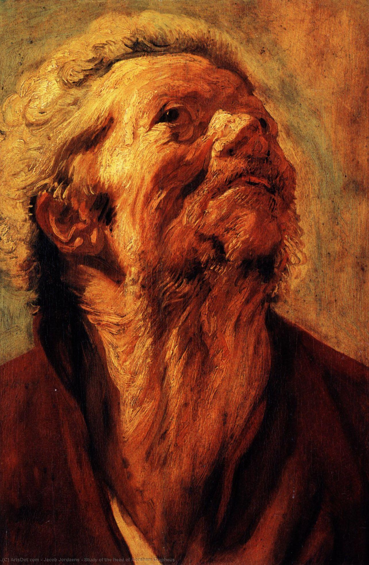 Study Of The Head Of Abraham Grapheus — Jacob Jordaens