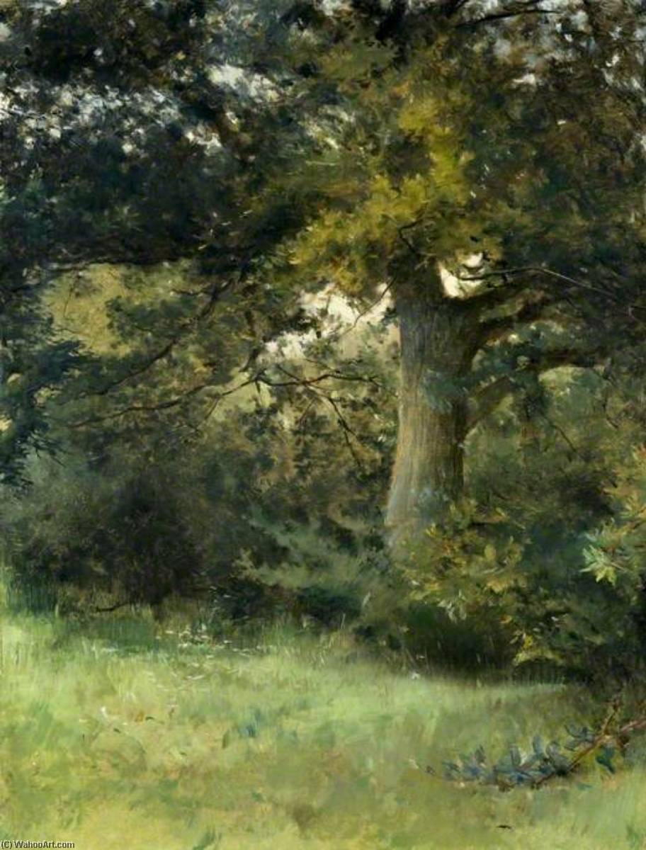 An Oak Tree, Green Hedges, East Grinstead, Sussex — Sarah Paxton Ball Dodson
